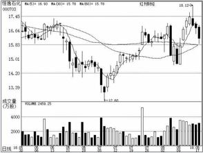 8月19日機構聚焦 基礎軟件服務賽道，誰主沉??？